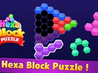 Hexa Puzzle